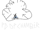 p0op chamber