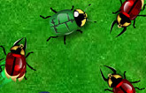 Beetle Wars