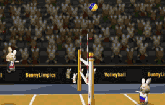 BunnyLimpics Volleyball