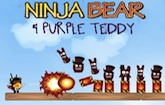 Ninja Bear