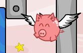 Pigs Can Fly