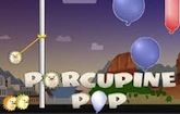 Porcupine Pop