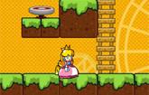 Princess Peach Go Adventure