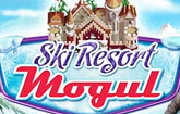 Ski Resort Mogul