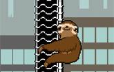 Slippery Sloth