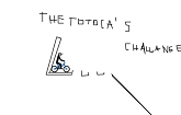 The Totoca's Challange