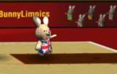 Bunnylimpics Basketball