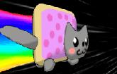 Nyan Cat 3D